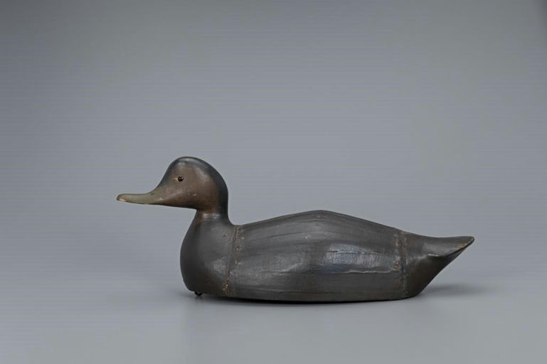 George Boyd – Black Duck – 2019