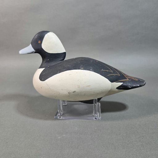 Scott Cronshaw – Bufflehead – 2026