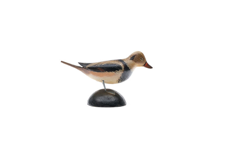 Elmer Crowell – Miniature Long Tail Duck – 2025