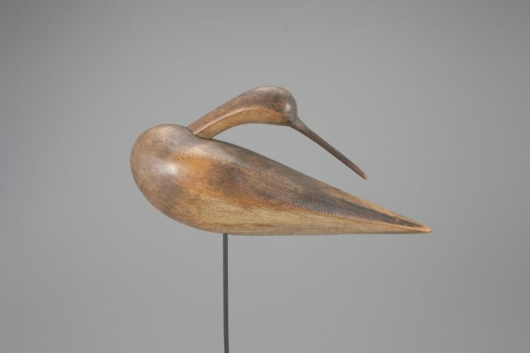 Mark McNair – Preening Root-Head Curlew – 2024