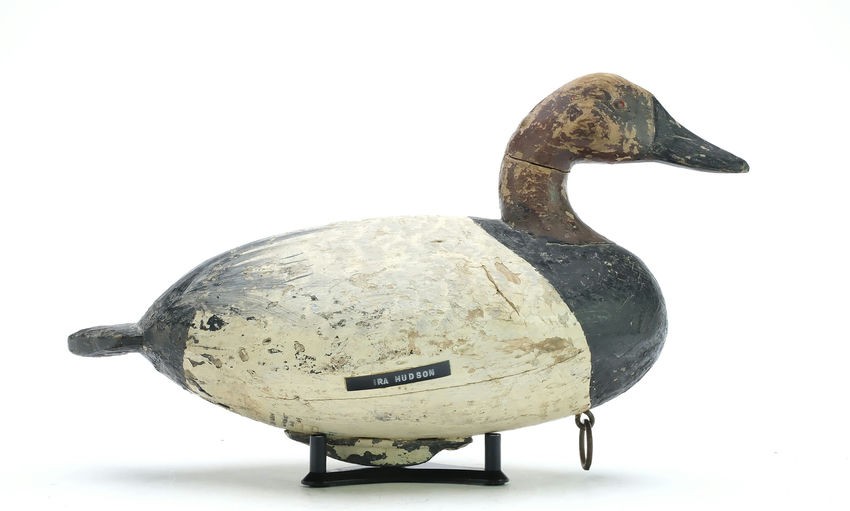 Ira Hudson – Canvasback – 2025