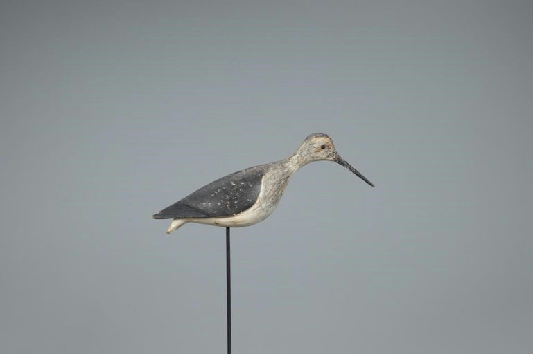 Elisha Burr – Reaching Yellowlegs – 2020