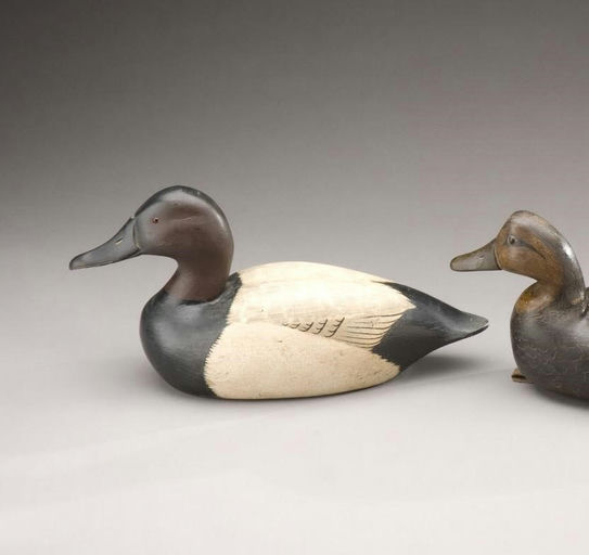 Joseph West – Canvasback Drake – 2009