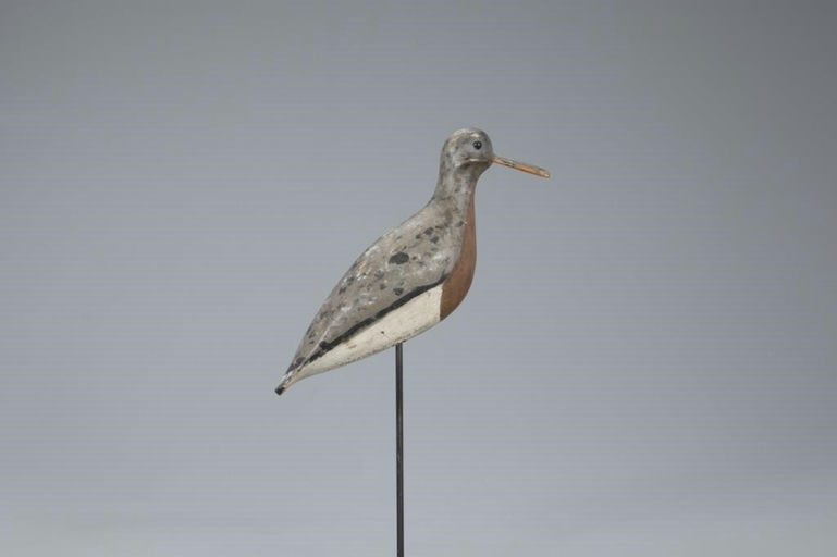 John Horn – Rare Red Knot – 2020