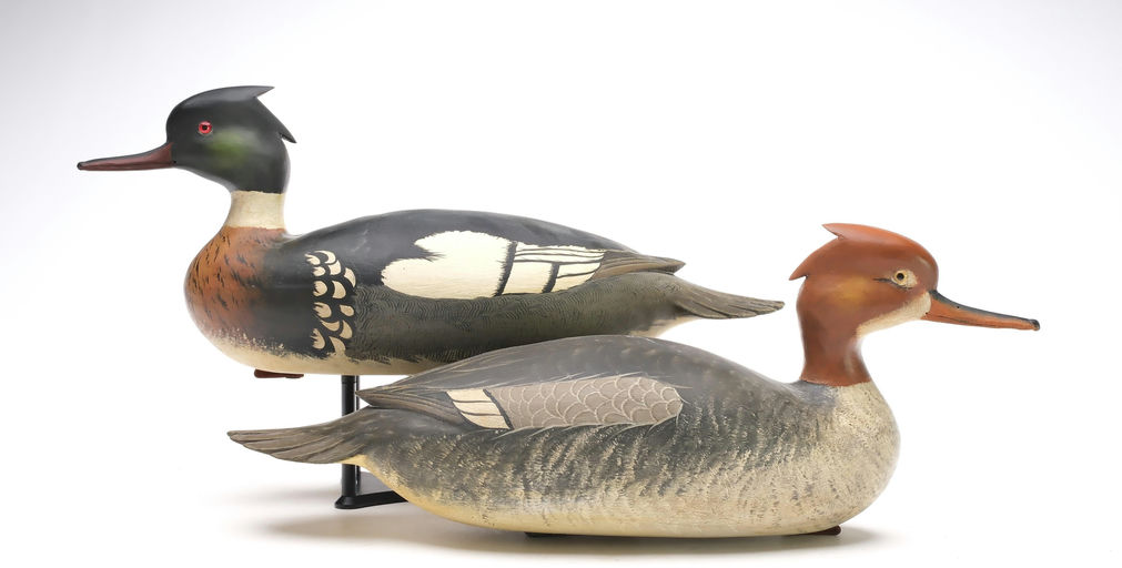Bob White – Pair of Red-breasted Merganser – 2026