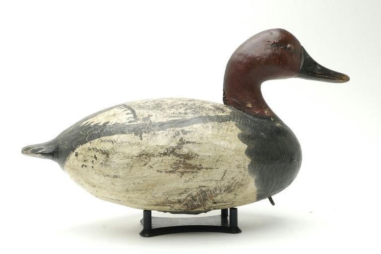 Reggie Birch – Canvasback – 2025