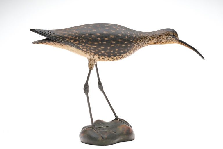 Elmer Crowell – Curlew – 2026