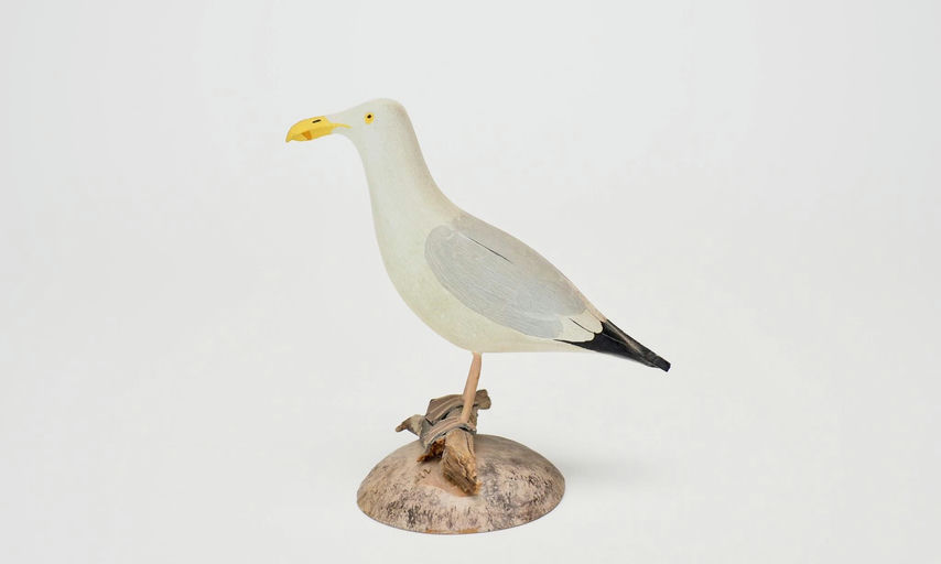 Robert Morse — Herring Gull