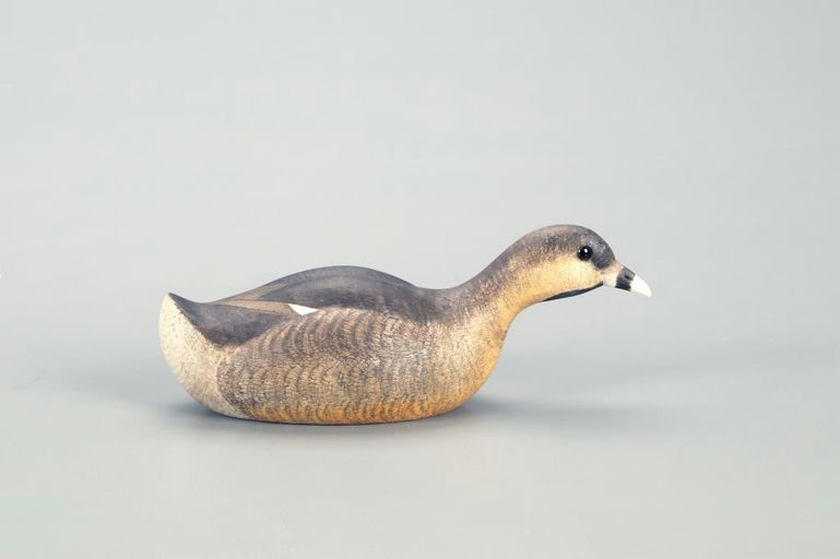 Harold Haertel – Pied-Billed Grebe – 2022