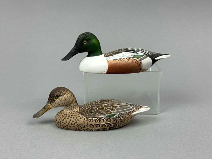 Katy Perdew Seibert – Miniature Shovelers – 2026