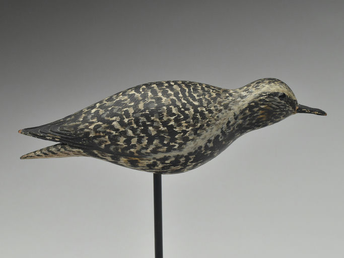 Elmer Crowell – Black Bellied Plover – 2023