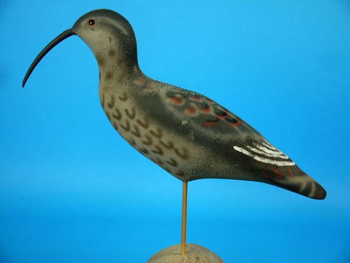Herter's – Curlew – 2026