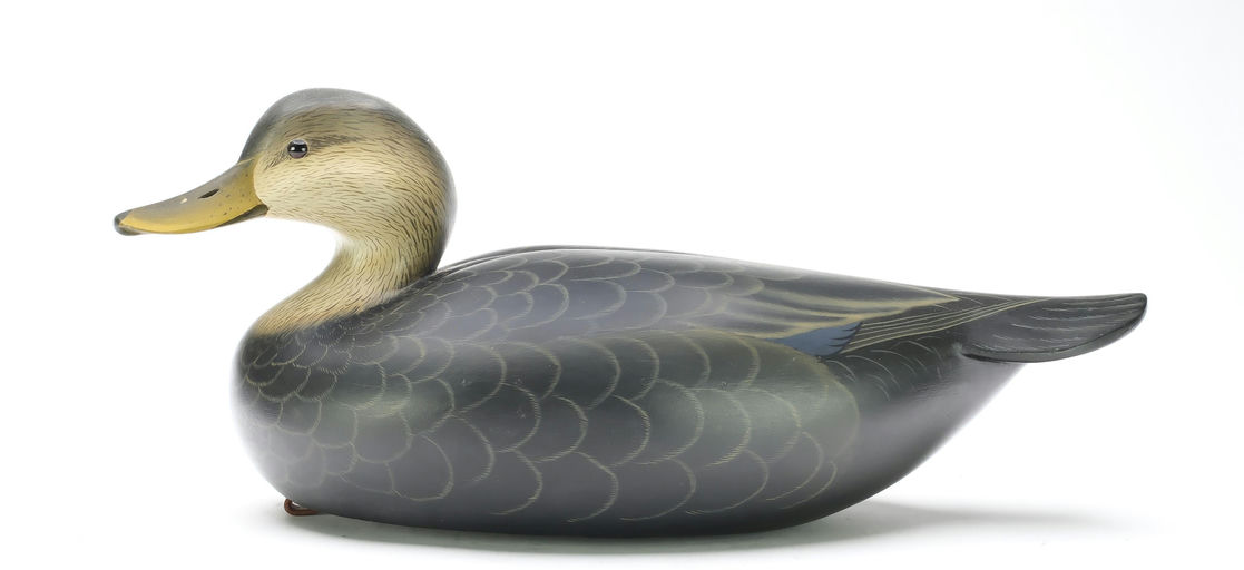 George Strunk – Black Duck – 2025