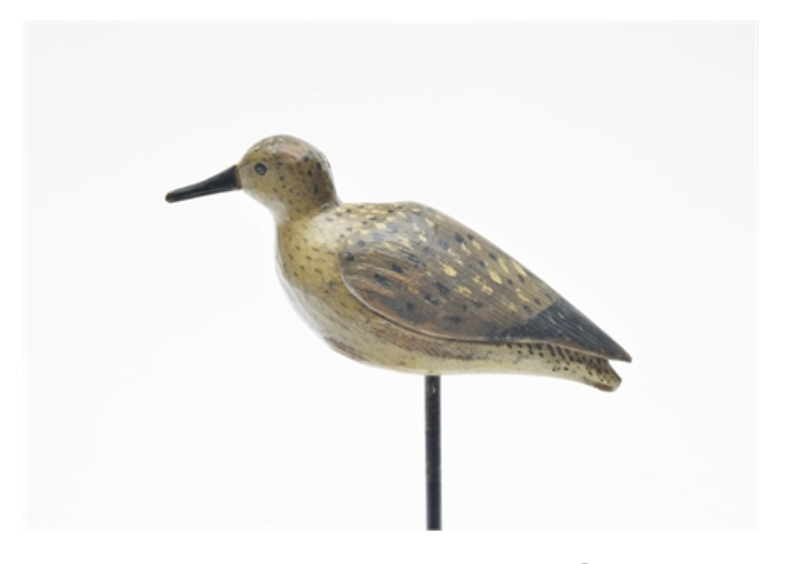 Mark McNair – Early Sanderling – 2022