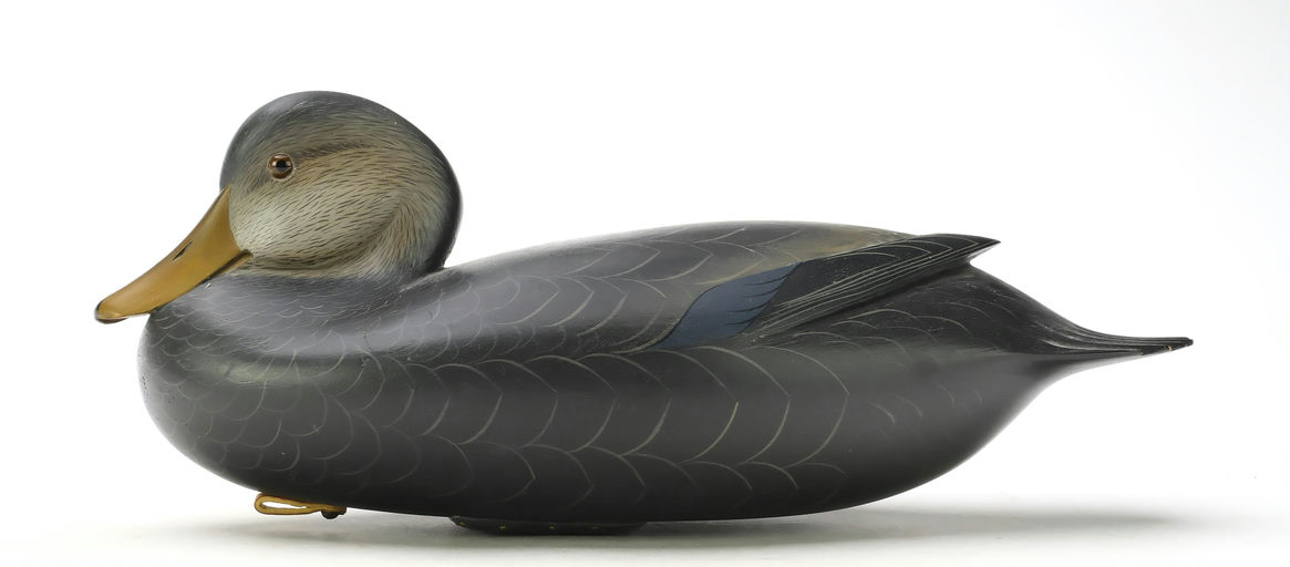 George Strunk – Black Duck – 2025