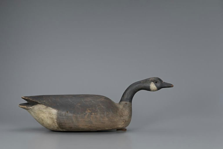 Cameron McIntyre – Hissing Canada Goose – 2019