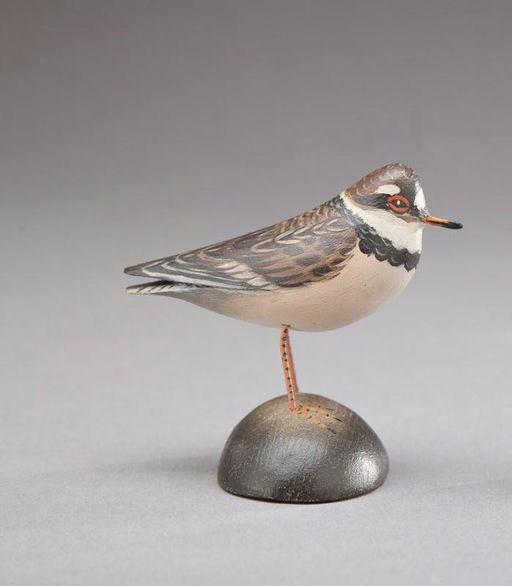 Elmer Crowell – Miniature Semipalmated Plover – 2012