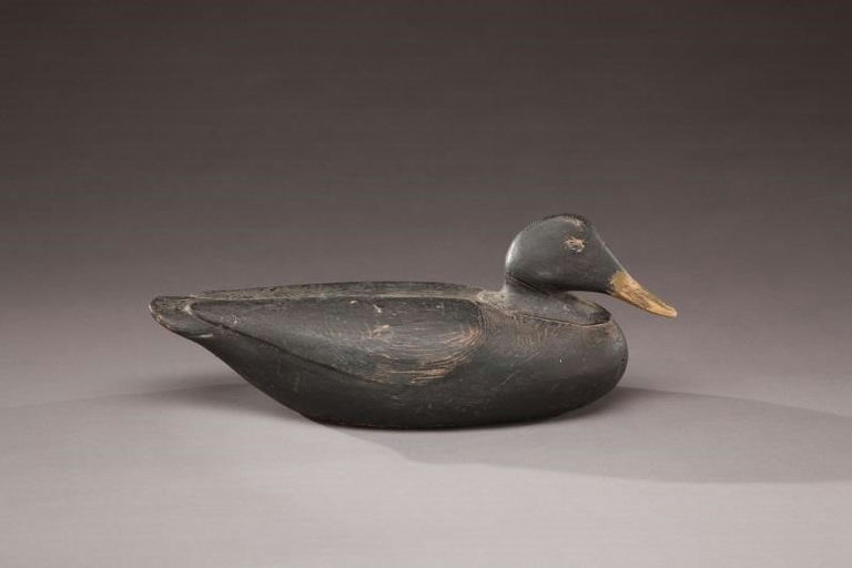 Gus Wilson – Black Duck – 2011