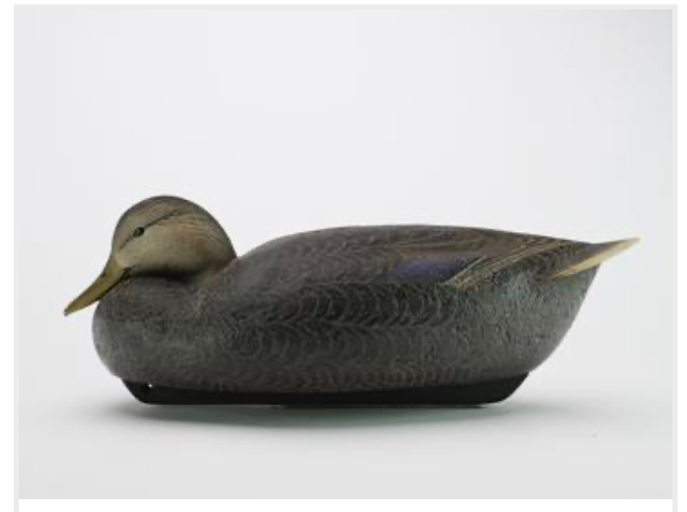 Marty Hanson – Black Duck