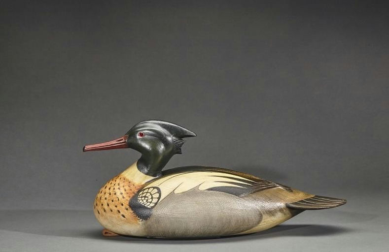 Bill Gibian – Red-Breasted Merganser Drake – 2017