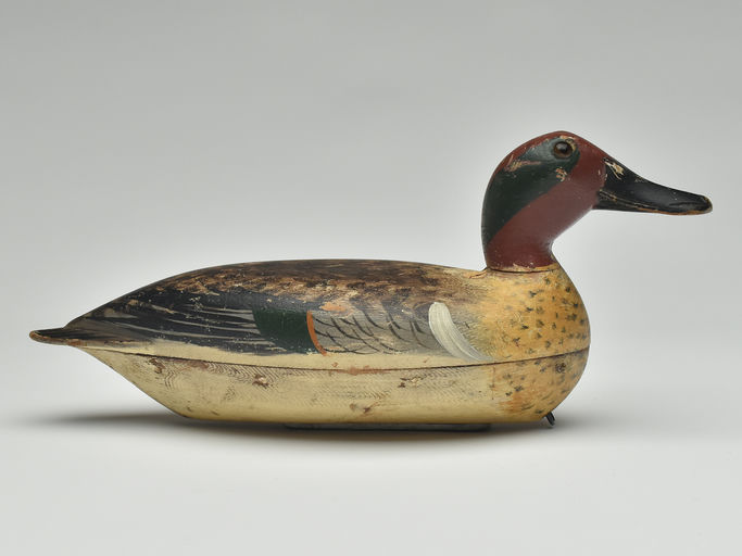 Robert Elliston – Green-winged Teal Drake – 2023