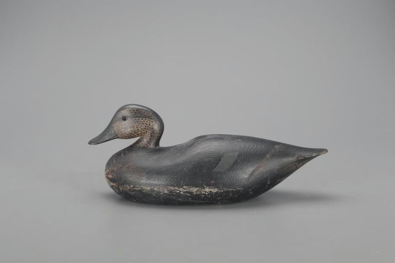 Joseph Lincoln – Black Duck – 2021