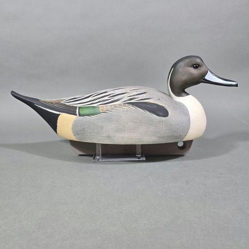 Michael Braun – Pintail – 2026