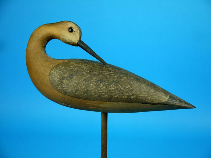 Harry V. Shourds – Yellowlegs – 2026