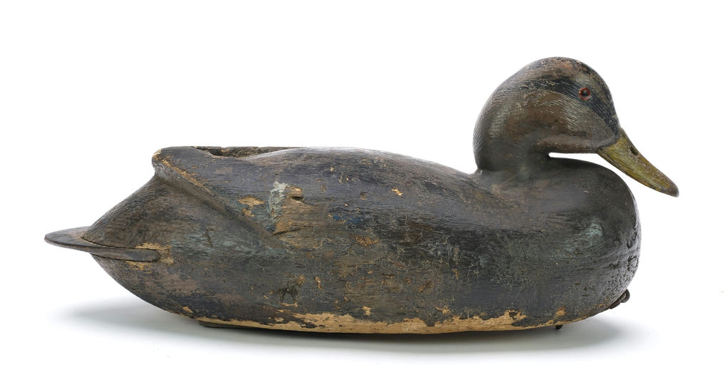 John McLoughlin – Black Duck – 2024