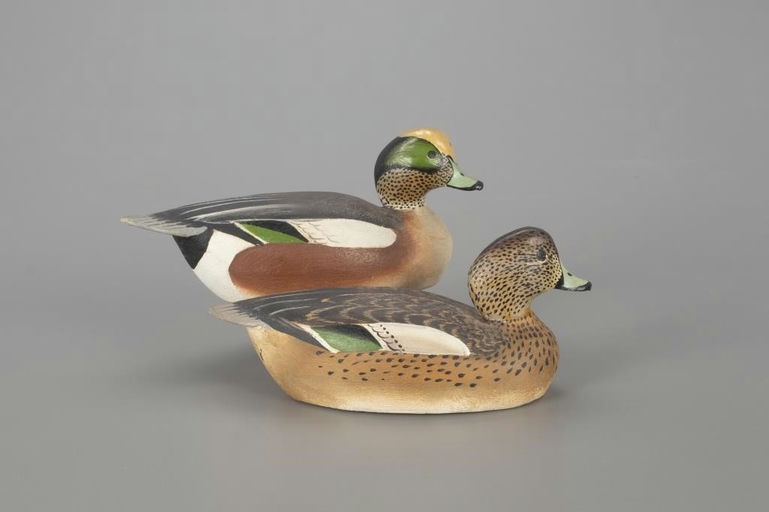 Ward Brothers – Miniature Wigeon Pair – 2022