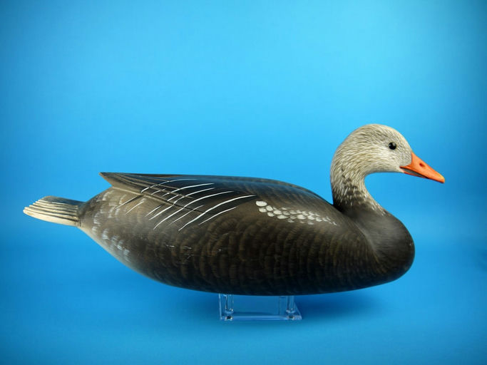 Herb Miller – Graylag Goose – 2026
