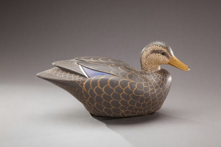 William Schultz – Black Duck – 2012