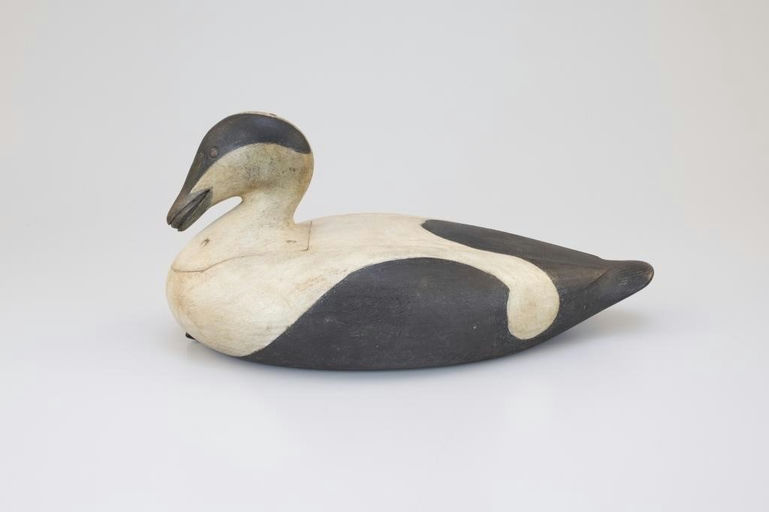 Mark McNair – Eider with Mussel – 2026