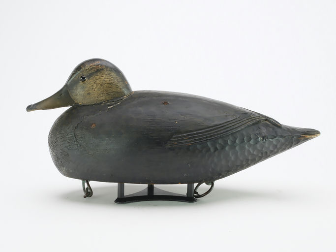 Elmer Crowell – Black Duck – 2025