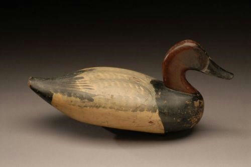Jess Urie – Canvasback Drake – 2007
