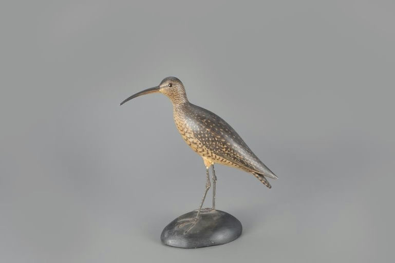 Elmer Crowell – The Chace Crowell Curlew – 2024