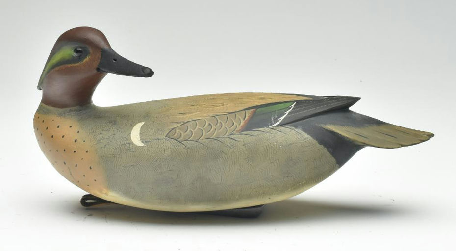 Bob White – Green-winged Teal – 2023