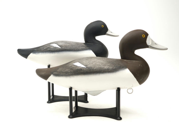 Charlie Joiner – Pair of Bluebill – 2026