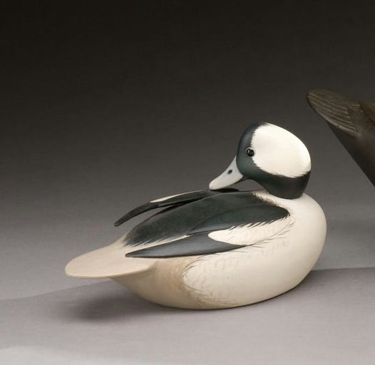 Marty Collins – Preening Bufflehead – 2009