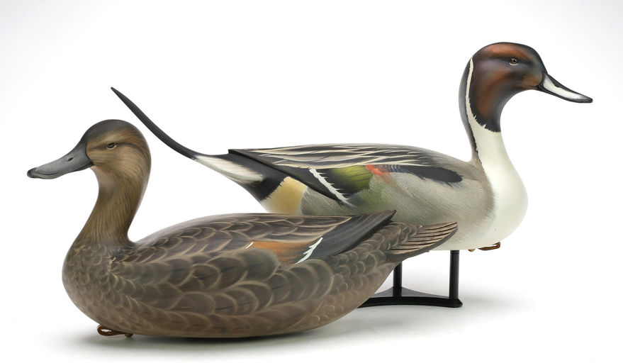 Sean Sutton – Hollow Carved Pair of Pintails, Slightly Turned Heads – 2024