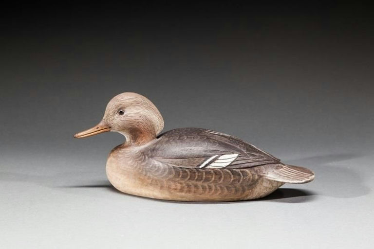 Cigar Daisey – Hooded Merganser Hen – 2016