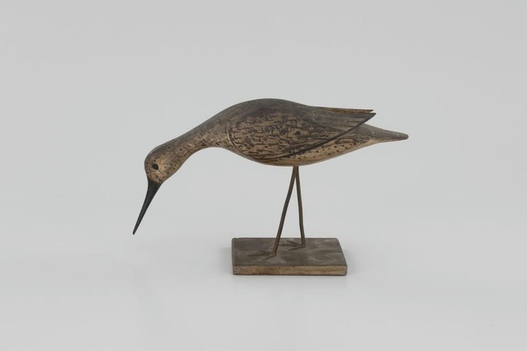 Otis Seaman – Rare Early Feeding Yellowlegs – 2026