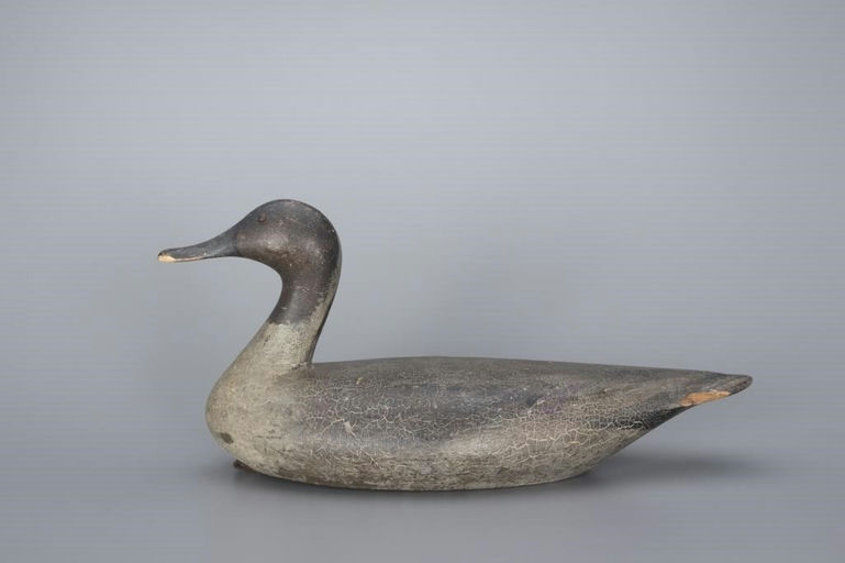 Phineas Reeves – Early High-Head Pintail Drake – 2017