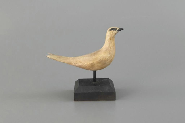 Frank Finney – White Bird – 2025