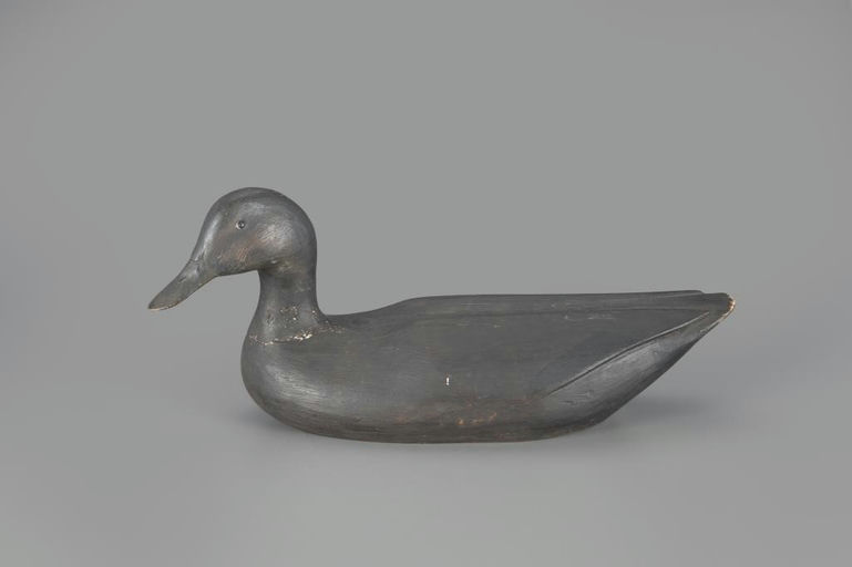 Gus Wilson – High-Head Black Duck – 2024