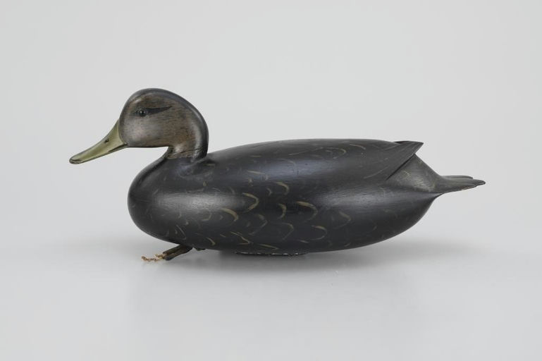 William Quinn – Hillman-White Black Duck – 2026