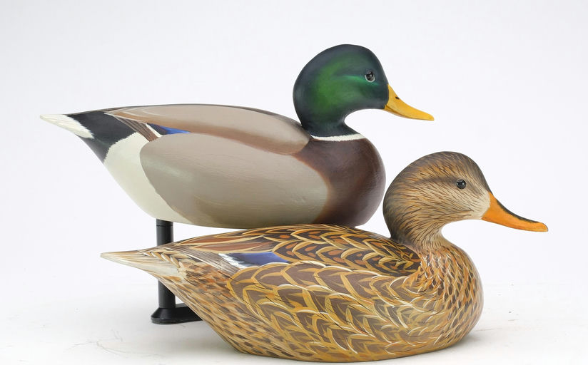 Ben A. Heinemann – Mallard – 2024