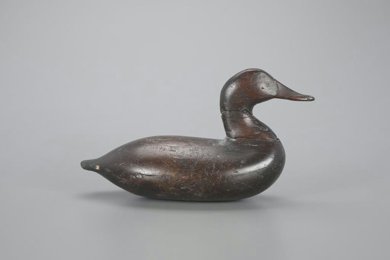 James Holly – Grace Rig Canvasback – 2023