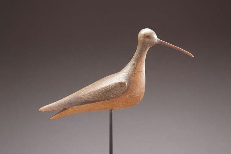 Mark McNair – Eskimo Curlew – 2013