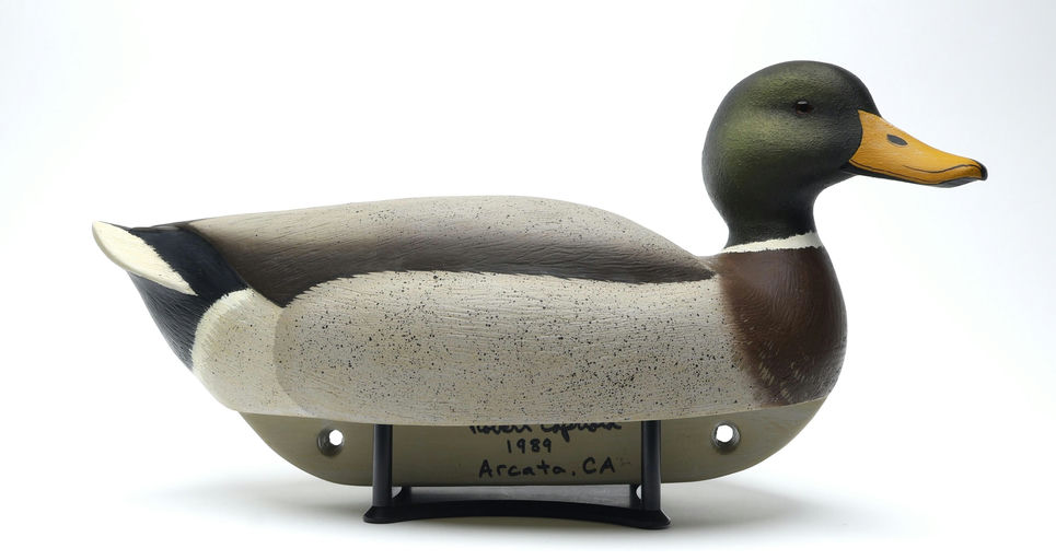 Robert Capriola – Mallard – 2026